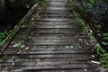 Old wooden bridge in forest. Ground view of bridge with wooden planks. Photography consisting of wooden bridge above river for Royalty Free Stock Photo