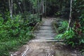 Old wooden bridge in forest. Ground view of bridge with wooden planks. Photography consisting of wooden bridge above river for Royalty Free Stock Photo