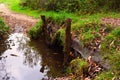 Old Wooden Bridge in the Forest Royalty Free Stock Photo