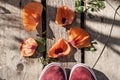On an old wooden bridge in the garden, sneakers and orange poppy petals. Summer in the village. Top view