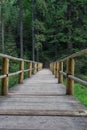 Old wooden bridge in green coniferous forest. Idyllic lonely place near lake Synevyr in Carpathian mountains, Ukraine. Royalty Free Stock Photo