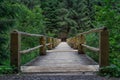 Old wooden bridge in green forest. Idyllic lonely place near lake Synevyr in Carpathian mountains, Ukraine. Royalty Free Stock Photo