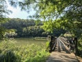 Old wooden bridge in the green forest Royalty Free Stock Photo