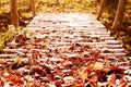 Old wooden bridge from logs in autumn bright fallen leaves, autumn road through the bridge Royalty Free Stock Photo