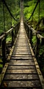 Old Wooden Bridge In Lush Wooded Environment