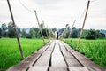 Old wooden bridge