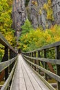 Old wooden bridge in a national park Royalty Free Stock Photo