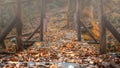 Old wooden bridge over brook in autumn european forest. Greece, Athos Royalty Free Stock Photo