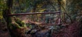 Old wooden bridge over brook in autumn european forest. Greece, Athos Royalty Free Stock Photo