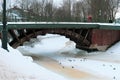 Russia, St. Petersburg, January 2022. Ducks on the ice of the old canal near the bridge. Royalty Free Stock Photo