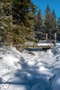 An old wooden bridge over a frozen and snow-covered mountain river Royalty Free Stock Photo