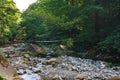 Old wooden bridge over a mountain stream in forest Royalty Free Stock Photo