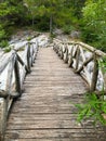 Old wooden bridge over mountain stream, Mount Olympus, Greece. Royalty Free Stock Photo