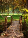 Old wooden bridge over river with colorful trees in autumn park Royalty Free Stock Photo