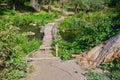 old wooden bridge over small river, wood path, Royalty Free Stock Photo