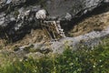 Old Wooden Bridge Over Mountain River In Summer, Top View Royalty Free Stock Photo