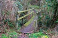 An old wooden bridge over a stream covered with green moss. Crossing the river in the forest Royalty Free Stock Photo