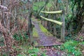 An old wooden bridge over a stream covered with green moss. Crossing the river in the forest Royalty Free Stock Photo