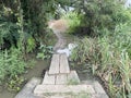 old wooden bridge in the park Royalty Free Stock Photo