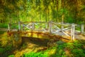 Old wooden bridge Royalty Free Stock Photo