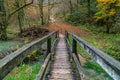 Old wooden bridge in a park Royalty Free Stock Photo