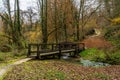Old wooden bridge in a park Royalty Free Stock Photo