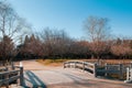 Wooden bridge at Boso No Mura Open air museum, Chiba, Japan