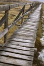 Old wooden bridge at Sic swamps