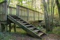 Old wooden bridge with stairs in forest. Staircase in the wood. Fall in mossy forest. Autumn nature. Footbridge in park.