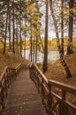Old wooden bridge with stairs in forest. Staircase in the wood. Footbridge in park. Adventure and explore concept Royalty Free Stock Photo