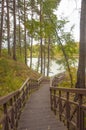 Old wooden bridge with stairs in forest. Staircase in the wood. Footbridge in park. Adventure and explore concept Royalty Free Stock Photo