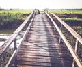 Old wooden bridge to green rice field in spring summer Royalty Free Stock Photo