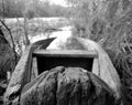 Old wooden broken boat for swimming on banks water in natural reeds