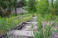 Old wooden broken steps on a hillside, old wooden staircase lined with tall grass, background