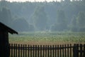 Old wooden building and fence at dusk at dawn. Behind them is a field and forest in fog. Rural landscape Royalty Free Stock Photo