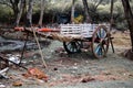 Bullock Cart Parked