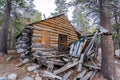 Old wooden cabin in the woods