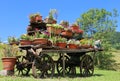 old wooden cart festooned with many flowers Royalty Free Stock Photo