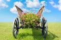 Old Wooden Cart with Flowers Royalty Free Stock Photo