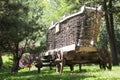 An old wooden cart with large wheels in the farm Royalty Free Stock Photo