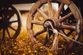 An old wooden cart standing in a blooming field in a village. Rural life, sustainable living and the beauty of simplicity and