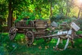 Old wooden cart with wheels with flower pots Royalty Free Stock Photo