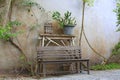 Old wooden chair in the garden against old cement wall background Royalty Free Stock Photo