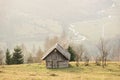 Old wooden chalet and trees, Poiana Marului