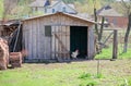 An old wooden chicken coop in the mountains