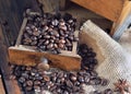 Old wooden coffee grinder full of coffee beans Royalty Free Stock Photo