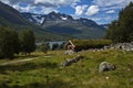 Old wooden cottage with green roof in Innerdalen valley, Norway