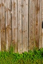 old wooden countryside toilet house with heart shaped hole in th Royalty Free Stock Photo