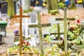 Old wooden crosses in a catholic cemetery.