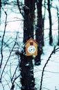 Old wooden cuckoo clock hanging on a tree Royalty Free Stock Photo